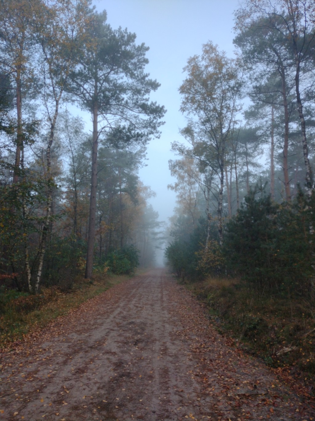 Lekker vochtig: over condens