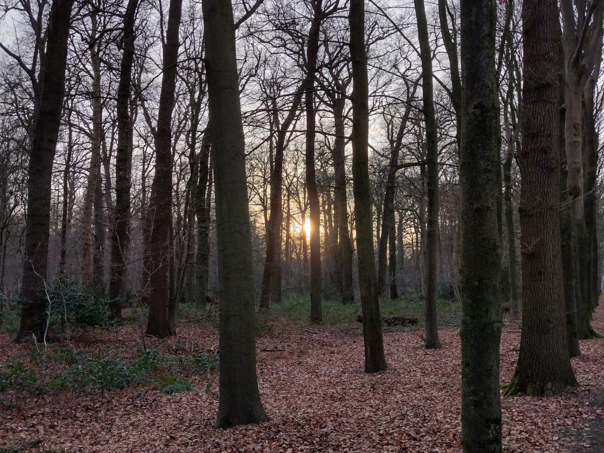 Midwinter & de Heilige Nachten&nbsp;inspiratie