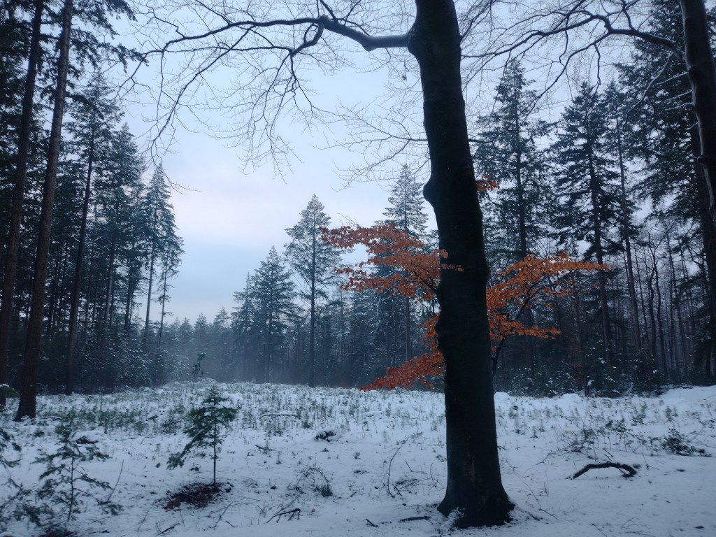 Leren omgaan met kou