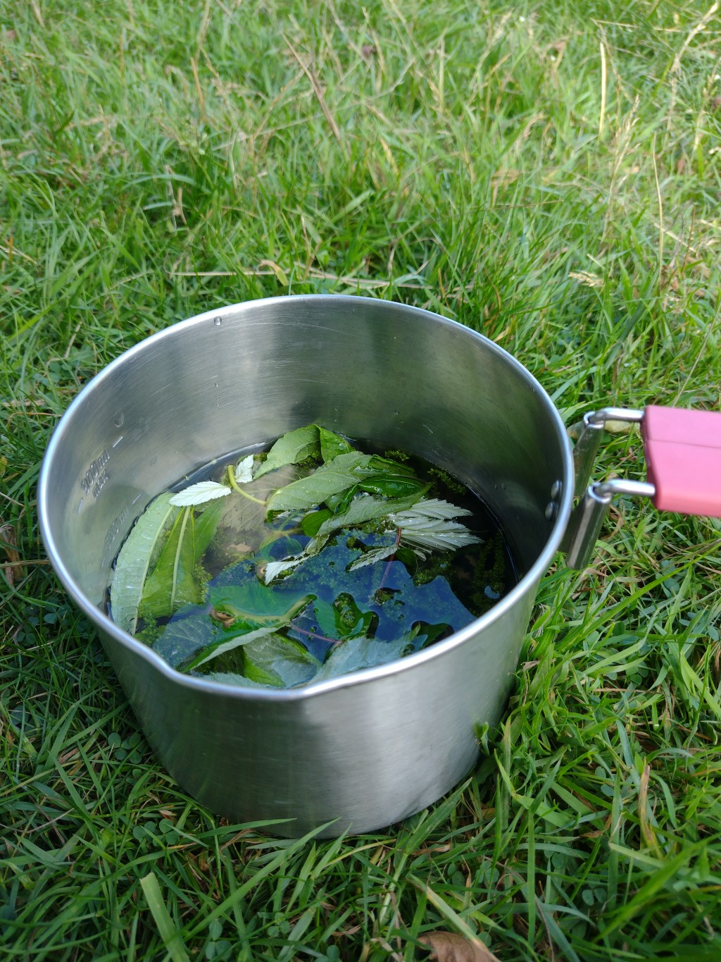 Wildplukronde in Wales