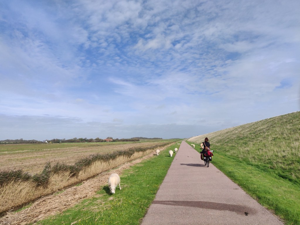 Op fietsvakantie naar de Wadden