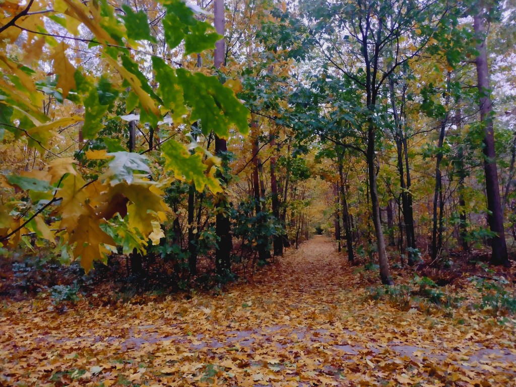 Dagboek in de&nbsp;storm