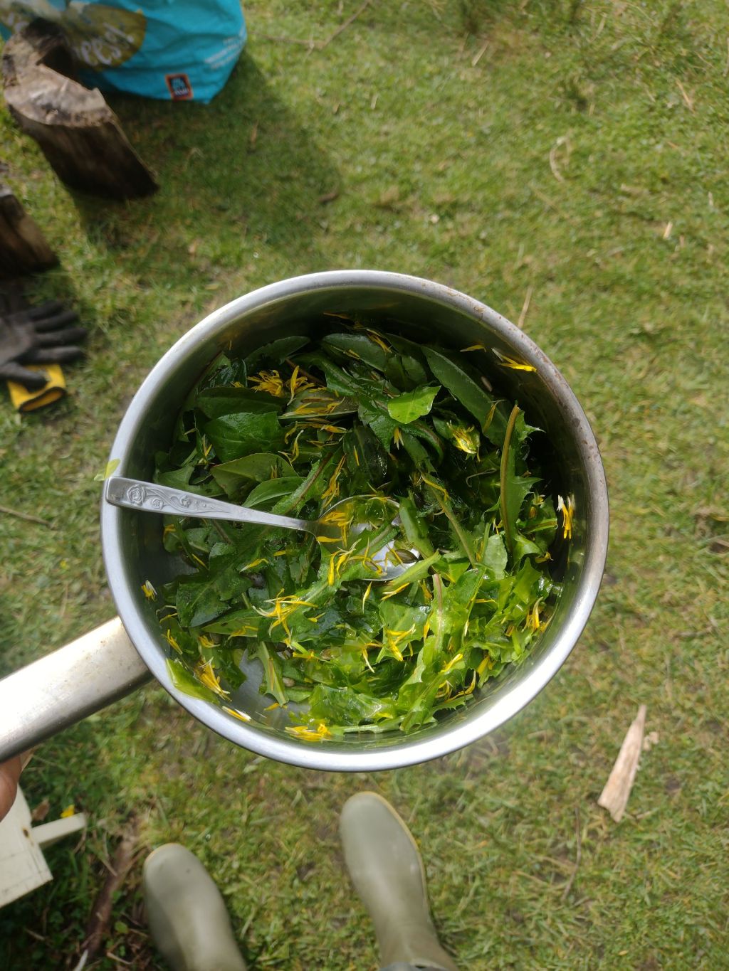 Wildplukexpert worden