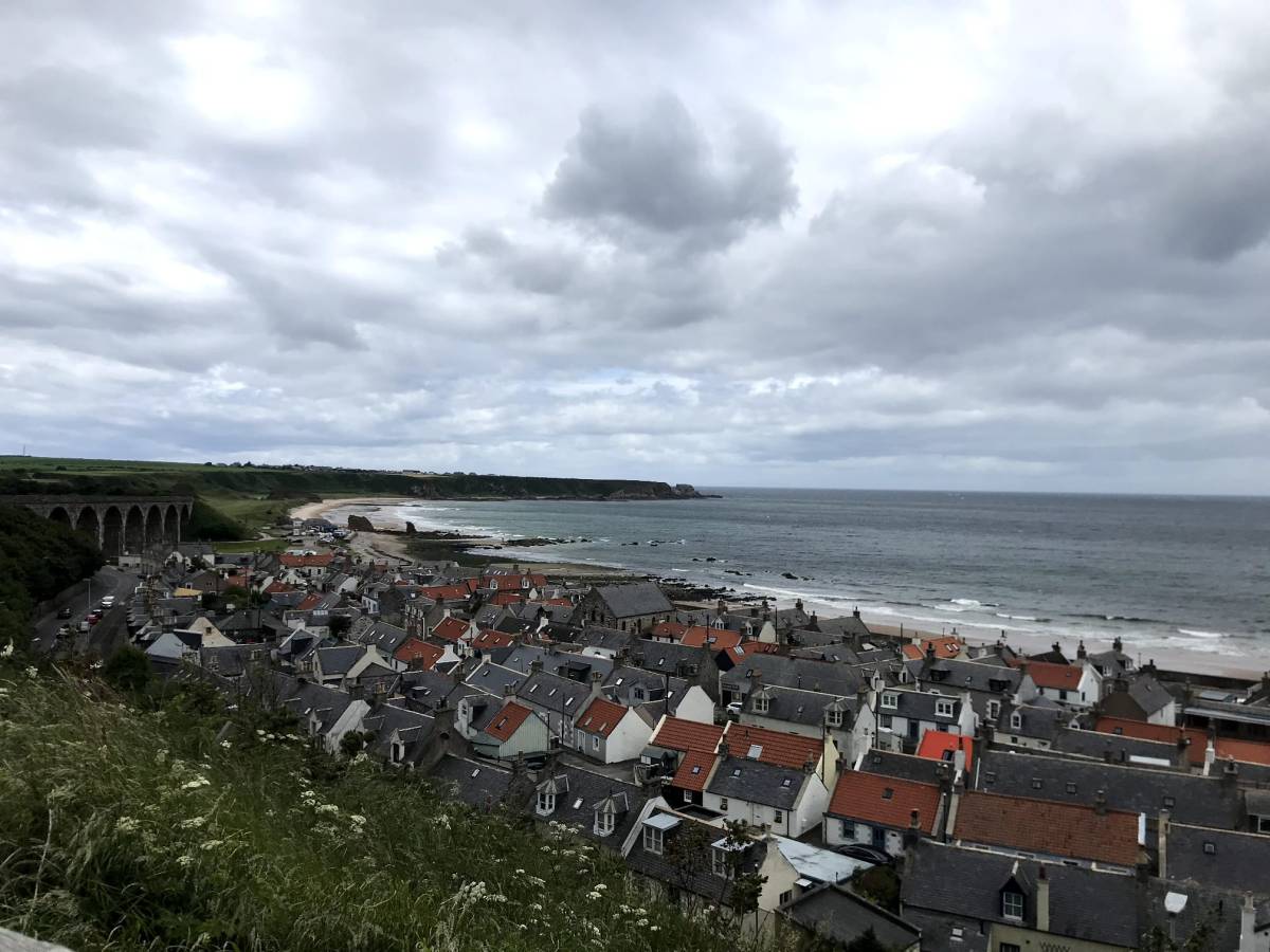 Ontmoeting met de&nbsp;das