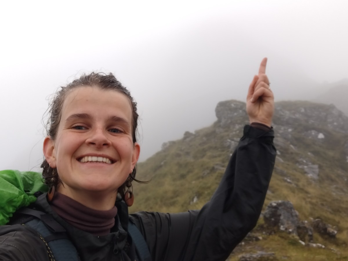 Verzopen kat op de&nbsp;bergtop
