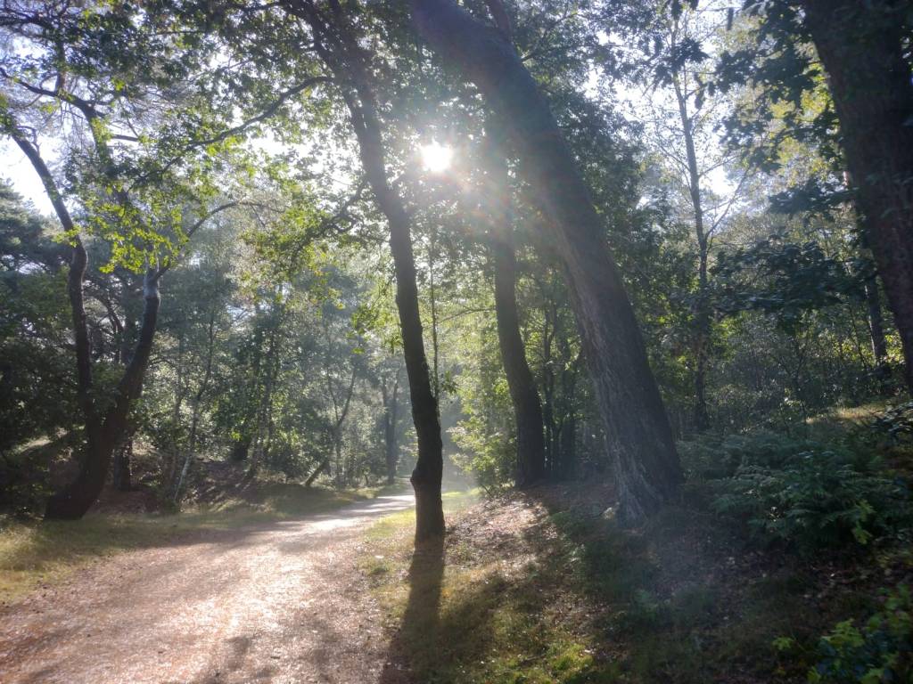 Soort van alles op een&nbsp;rijtje