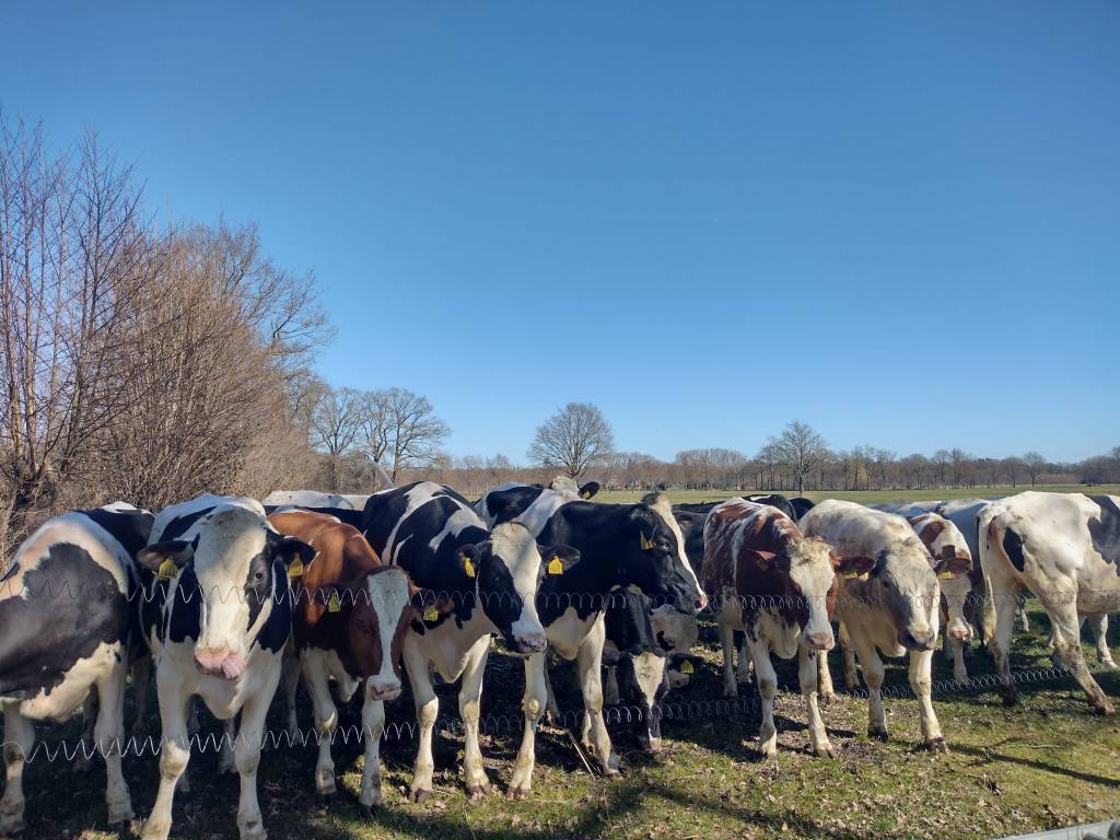 Hoe wordt boter&nbsp;gemaakt?