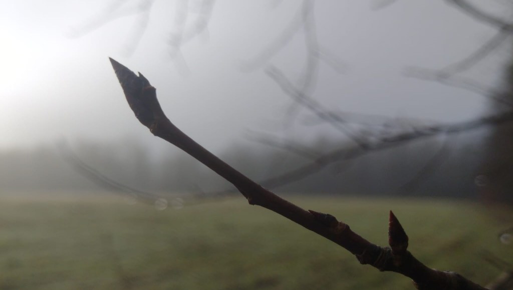 Feestdag in je eentje