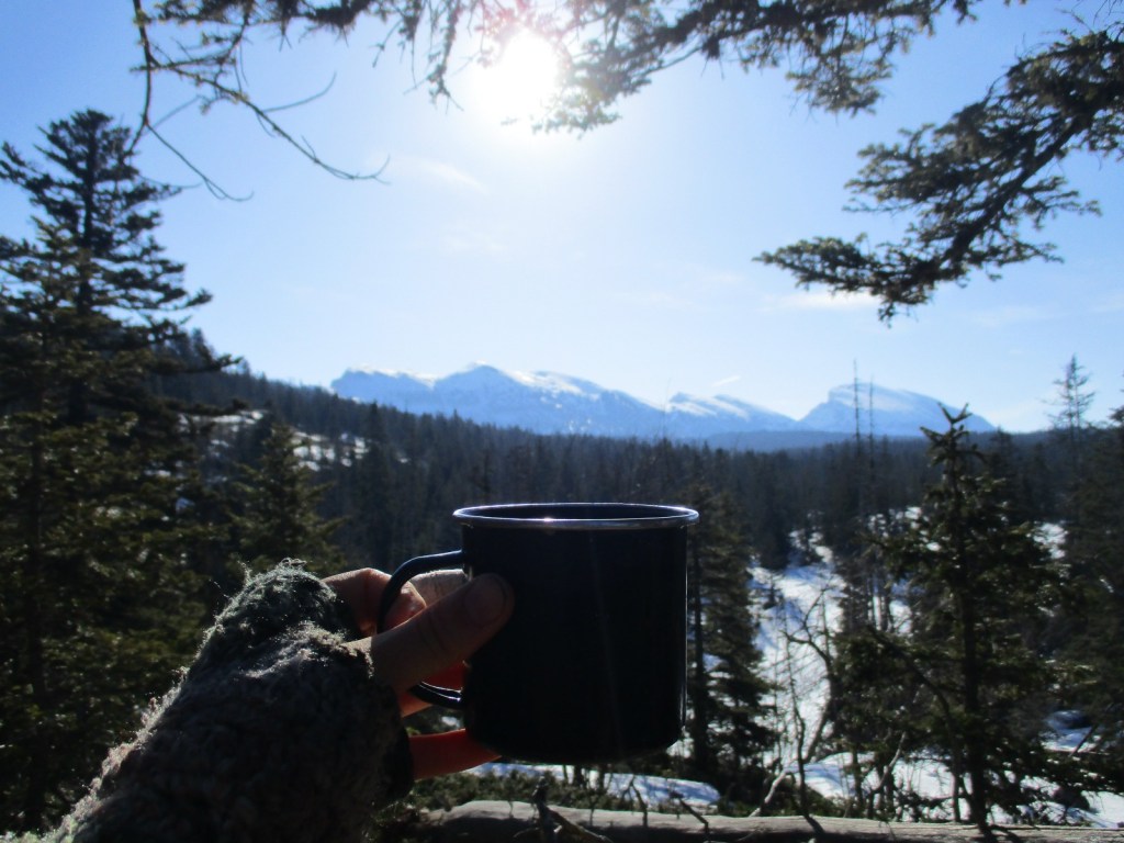 Vallei van de wolven