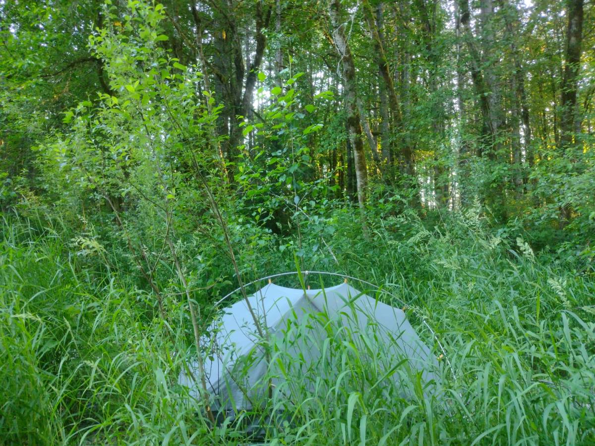 Daar waar de rivierkreeften&nbsp;sterven