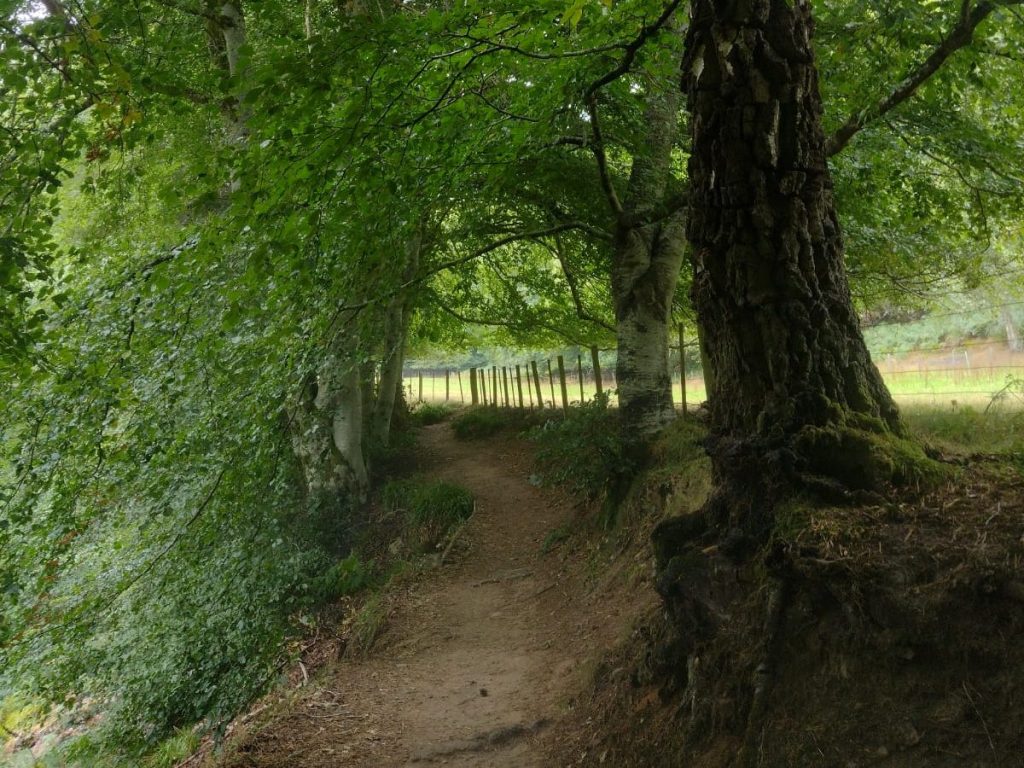 Alles op z’n&nbsp;kop