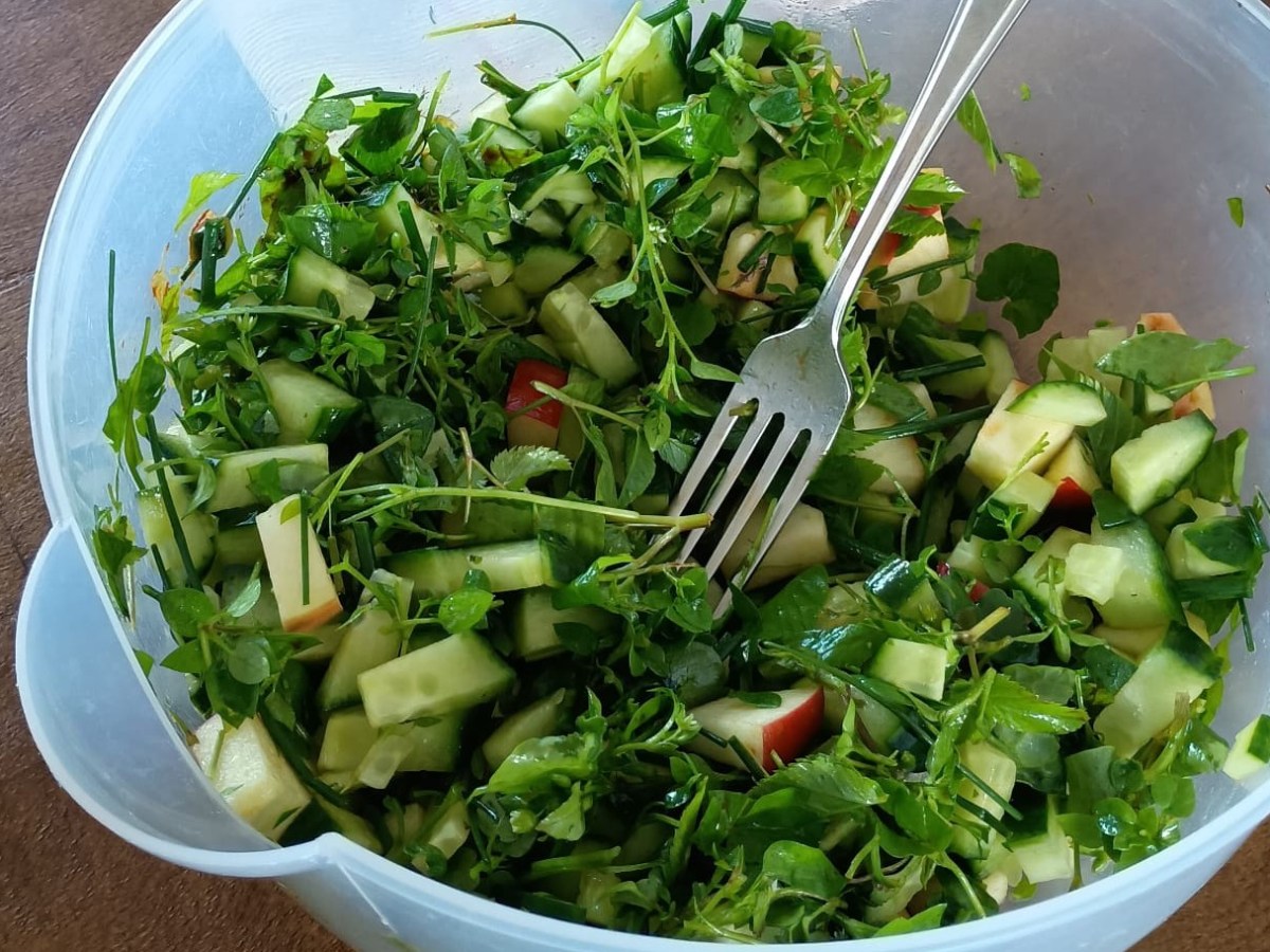 Het wildplukken is&nbsp;begonnen!